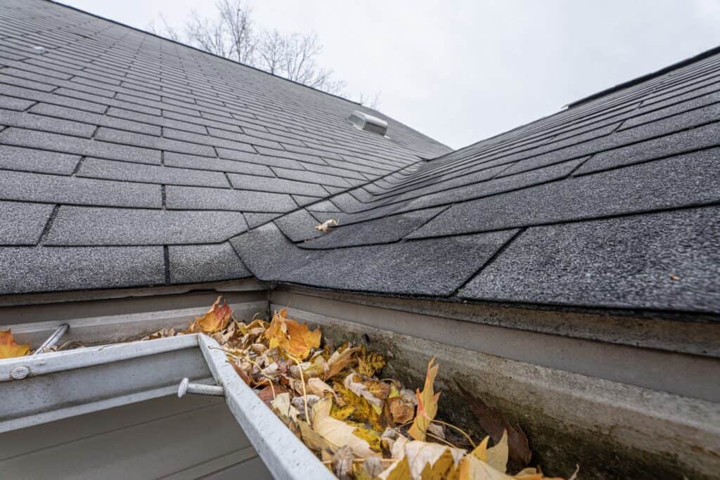 Example of roof damage that a homeowners insurance policy won't cover - home with clogged gutters and poor maintenance