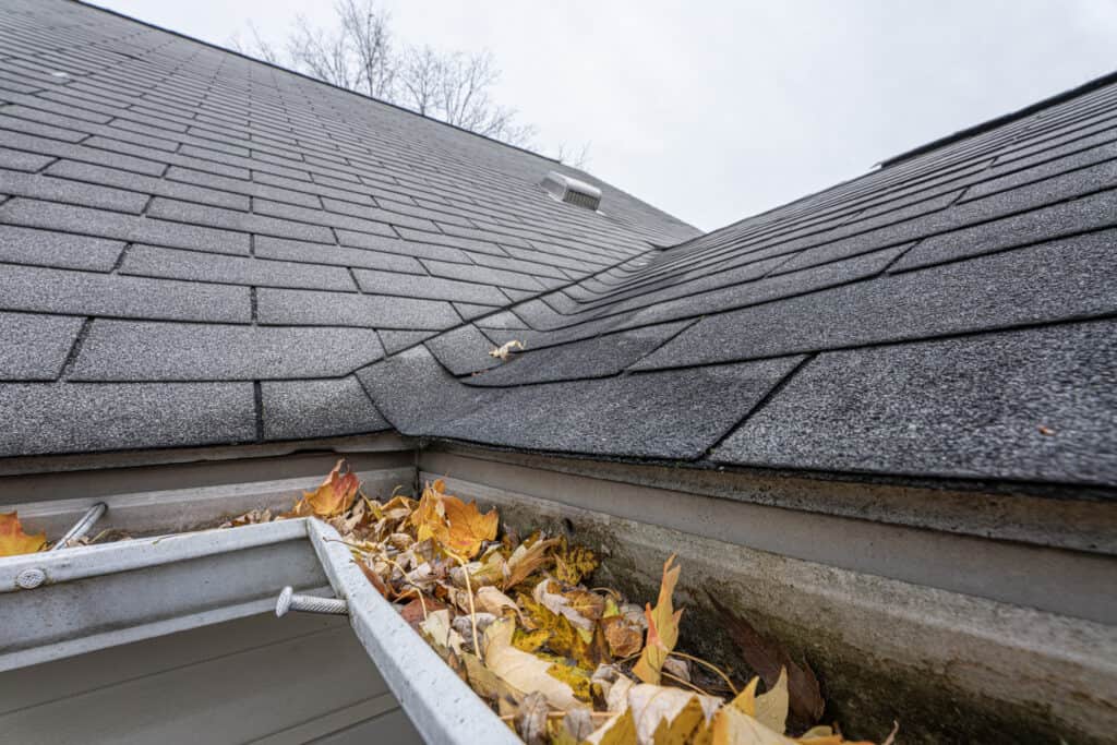 roof gutters clogged with leaves