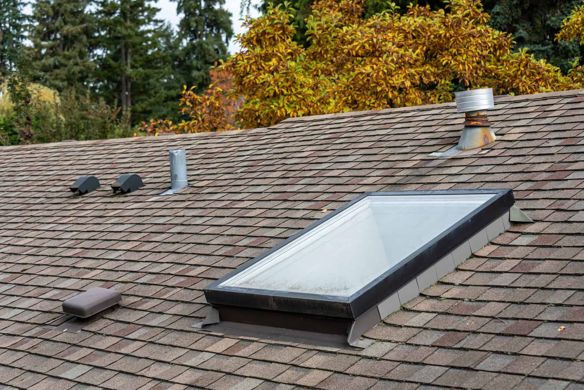 one of many different styles of roof skylights