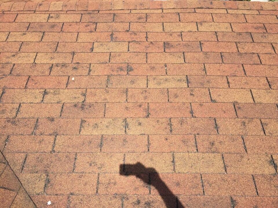 Will Insurance Cover a 15 Year Old Roof? RoofClaim