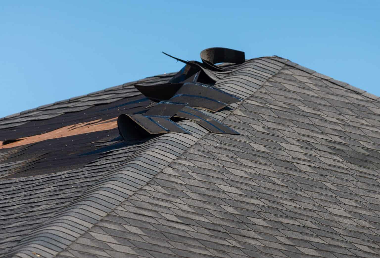 How to Repair a Shingle Roof Leak RoofClaim