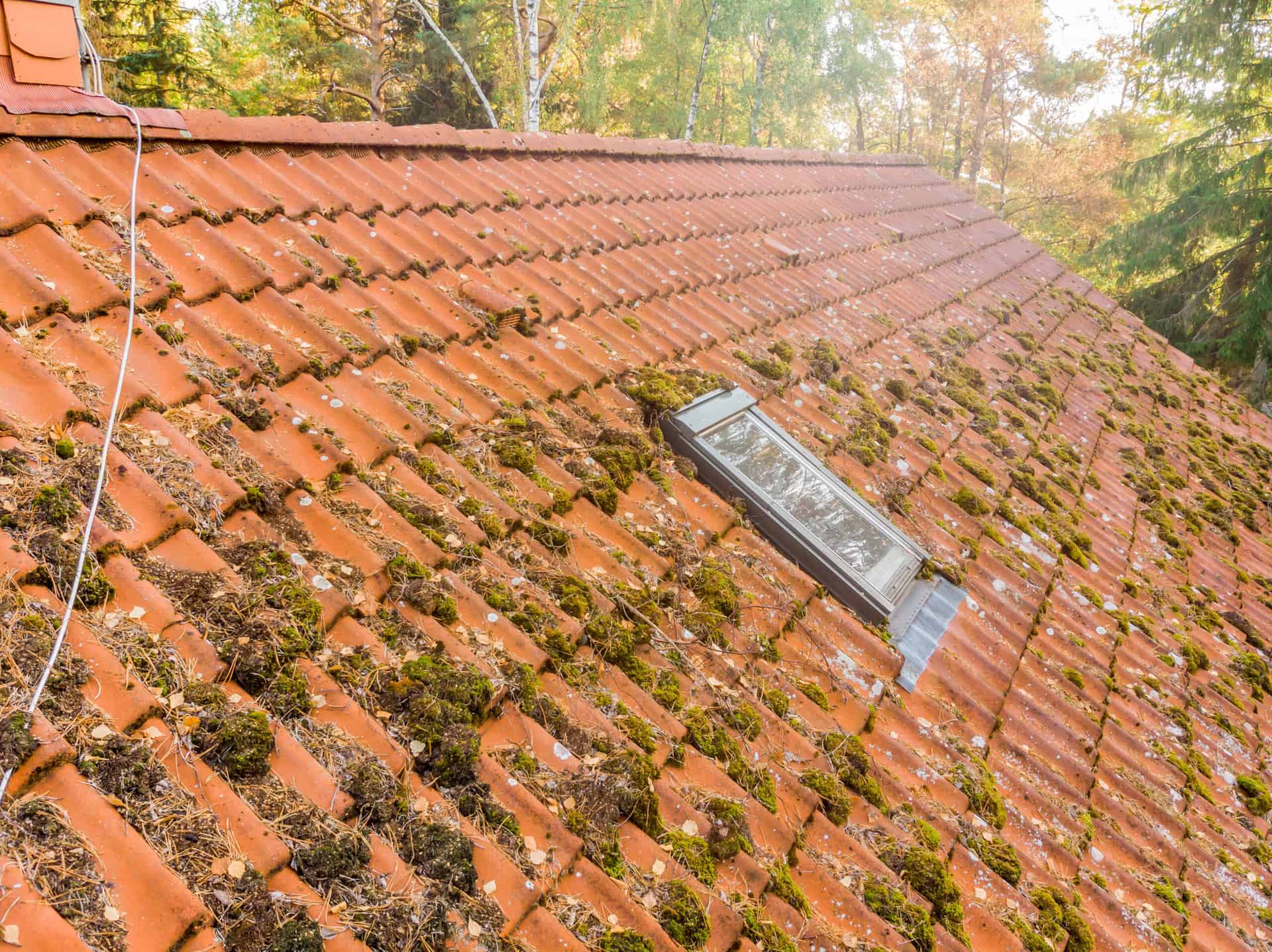 A tile roof with moss and possible damage onn it